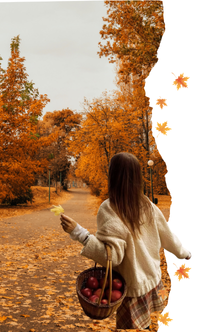 Mi día perfecto de otoño